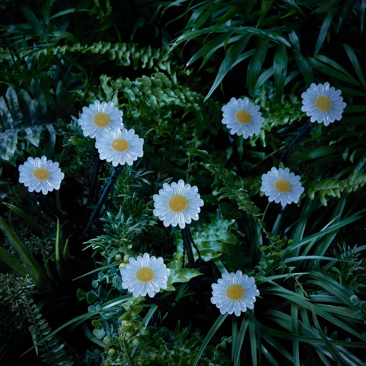 9 Daisy Solar Flower Stake Lights for Garden Paths and Patio Decor