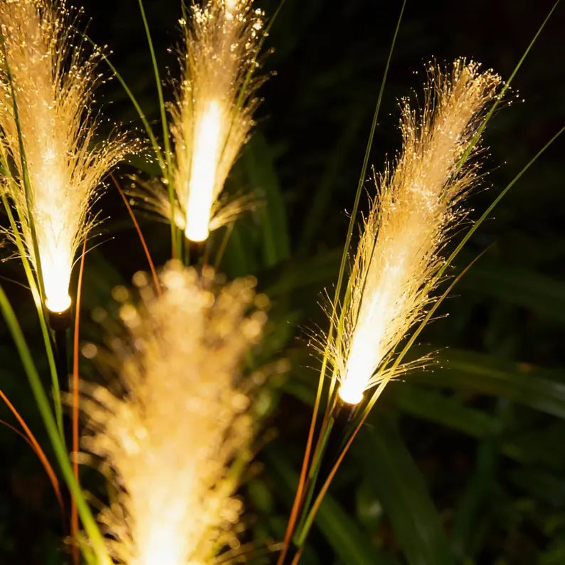 Solar Reed Stake Lights for Garden Paths and Yard Decor