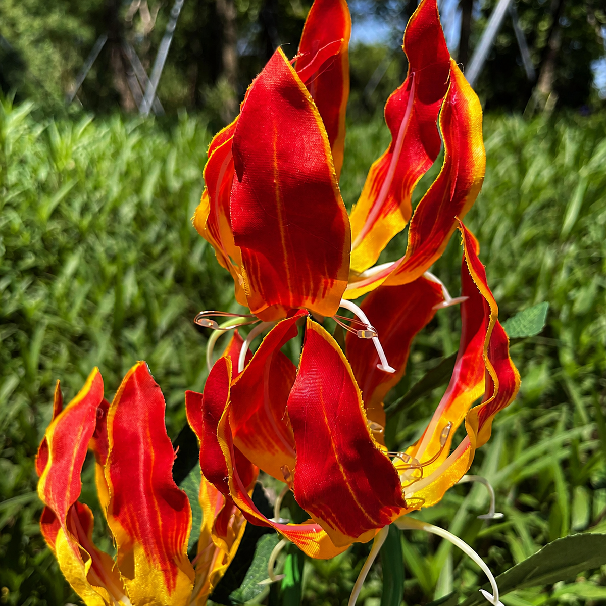 Solar Fire Lily Garden Lights