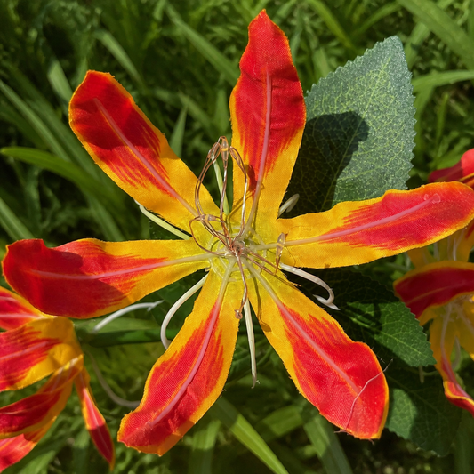 Solar Fire Lily Garden Lights